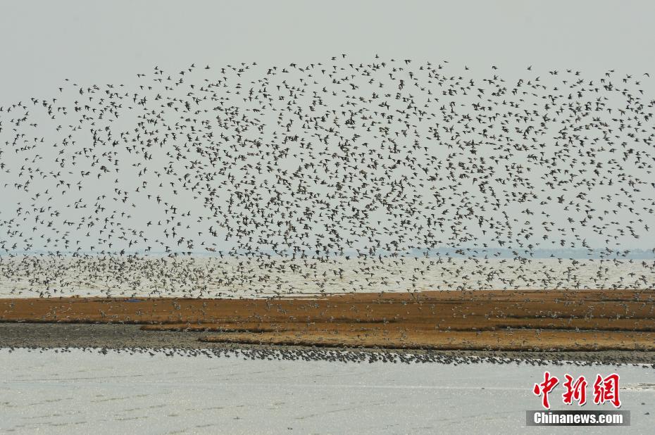 wifi安全性能高還是低_庫(kù)尼亞閃耀表現(xiàn)：8次射門2射正，3關(guān)鍵傳球助1助攻