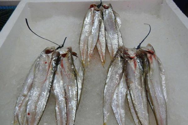 與中國創(chuàng)新同頻共振——訪拜耳集團(tuán)首席執(zhí)行官比爾·安德森