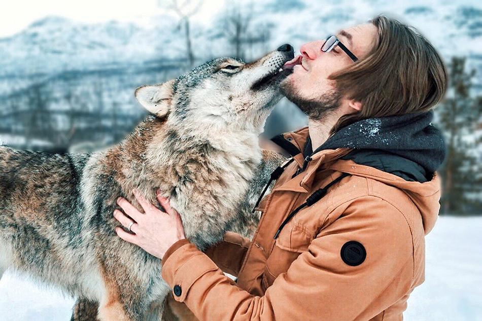 禪詩(shī)欣賞——空向枯樁舊處尋