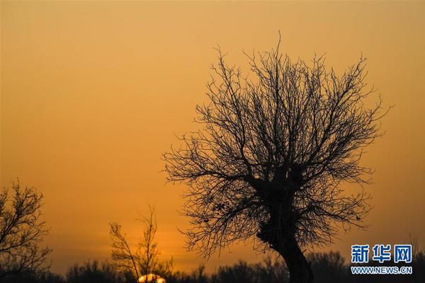 360網盾官網_特朗普：批準對華出售，但要抽成25%！