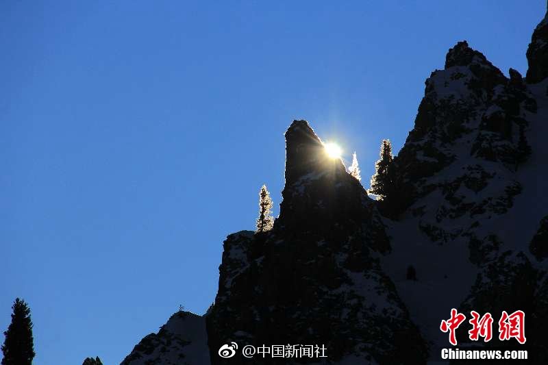 哪個網(wǎng)站招聘網(wǎng)站可以看到人才的信息_愛情從來都不只有一種樣子