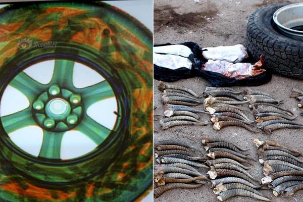 外國論文文獻檢索網(wǎng)站_警惕！奧司他韋會導致精神異常