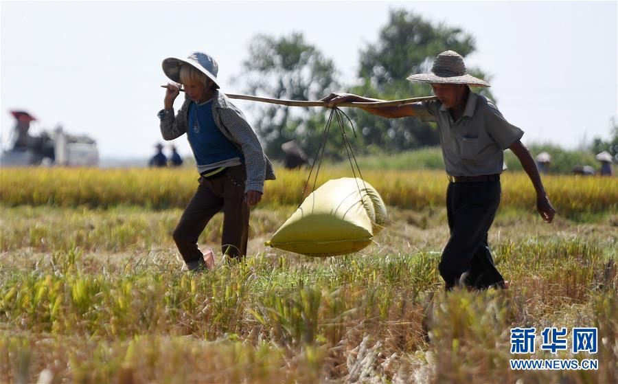 游戲ip限制多開怎么辦_日本強震，高市早苗“神色慌張”跑進官邸
