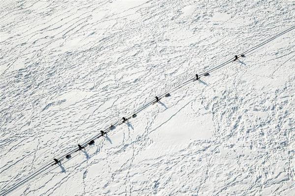 歐易怎么查詢usdt錢包地址的交易記錄_E句話| 立威廉甲狀腺癌后首發(fā)文？