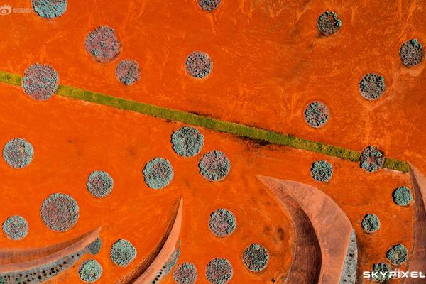 這可能是人類史上最大銀行搶劫案 就這樣泡湯了