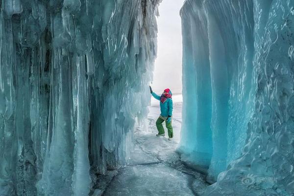 網(wǎng)絡(luò)安全隱患整改情況報告_29只白鶴遷徙途中經(jīng)停官廳水庫 巡護者：為極度瀕危物種