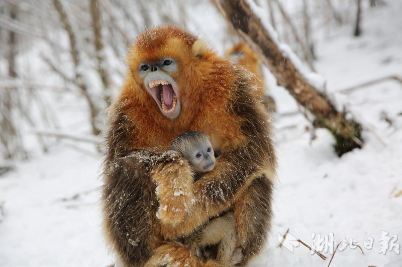 運(yùn)水成本與地形起伏關(guān)系_中建·運(yùn)河玖院：當(dāng)城市副中心開(kāi)始定義北京，生活便長(zhǎng)成了理想的模樣