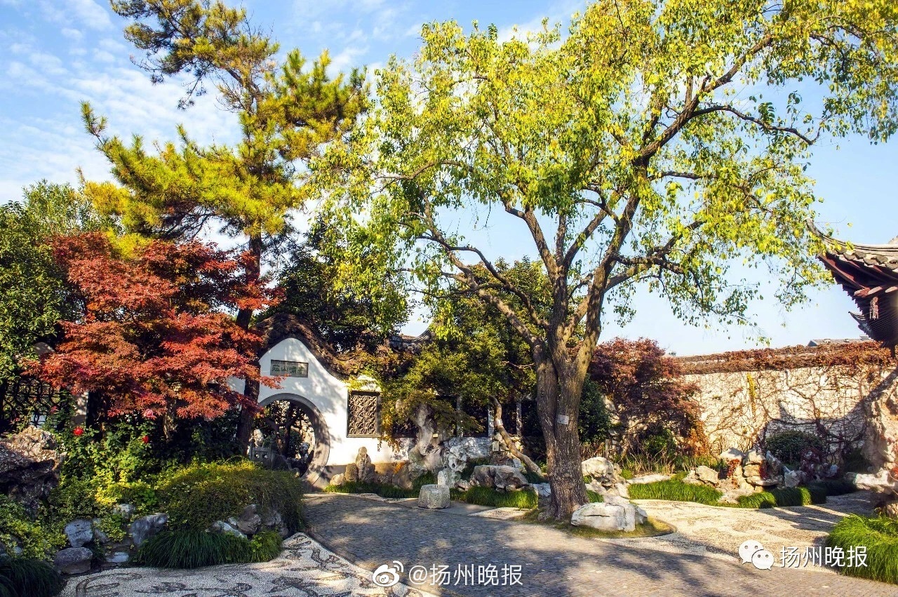 網(wǎng)絡(luò)安全招聘網(wǎng)站_卡納瓦羅:我在亞洲的執(zhí)教經(jīng)歷在意大利并不被重視