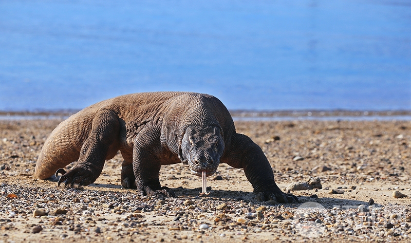 在網(wǎng)絡(luò)上找到競爭ip地址打印機(jī)_農(nóng)業(yè)農(nóng)村部:“十五五”時期鞏固拓展脫貧攻堅成果將轉(zhuǎn)入常態(tài)化幫扶階段