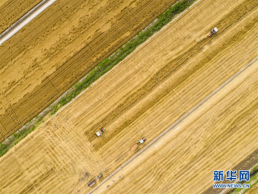 谷粉搜搜gufensoso_萬(wàn)達(dá)酒店去年扭虧為盈