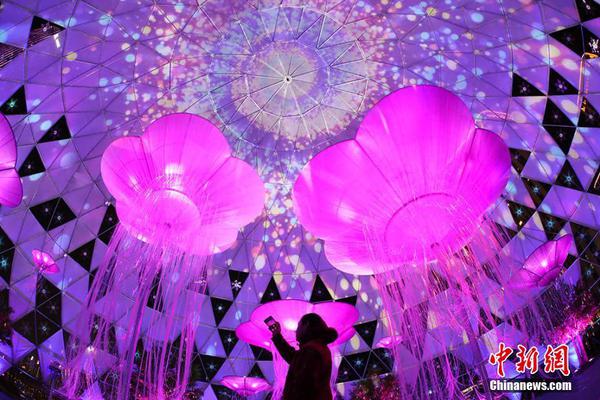 谷歌瀏覽器看外國網(wǎng)站_經(jīng)濟(jì)大省挑大梁｜上海高質(zhì)量孵化器再擴(kuò)容，至今共啟動建設(shè)18家