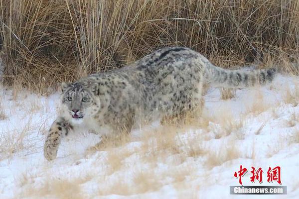 谷歌瀏覽器看外國網(wǎng)站_經(jīng)濟(jì)大省挑大梁｜上海高質(zhì)量孵化器再擴(kuò)容，至今共啟動建設(shè)18家