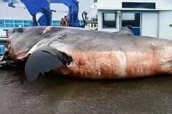 網(wǎng)絡(luò)運(yùn)營者不得披露兒童個(gè)人信息但法律_真想像霍建華這樣刻薄地活一次