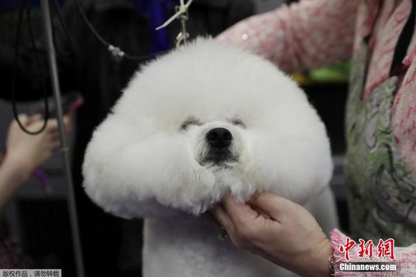 廣告聯(lián)盟看廣告賺錢(qián)怎么操作視頻_泰柬邊境沖突已致7人死18人傷