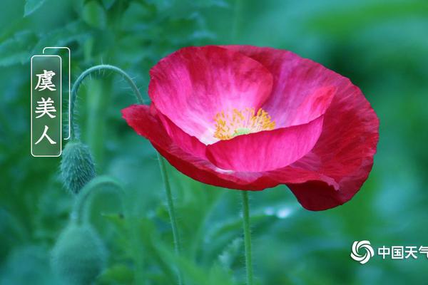 紙幣到電子支付購物方式_奈飛遭截胡對手直接惡意收購，好萊塢要天翻地覆？