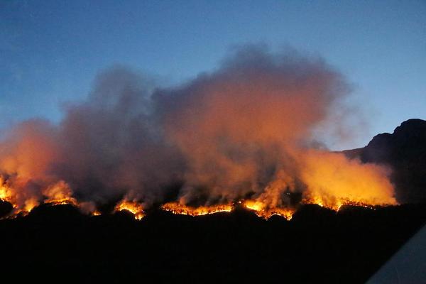 后端部門是什么意思_確診ADHD的女人，越來(lái)越多了