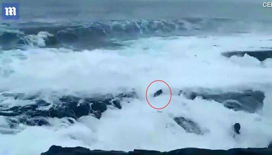 win10系統(tǒng)防注入怎么關(guān)閉_特爾：很高興完成在熱刺的歐冠首秀；孫興慜就像我的大哥一樣