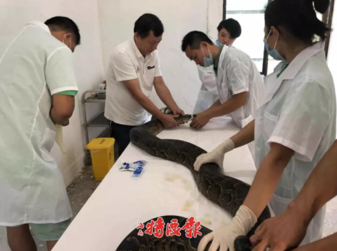 衛(wèi)生室藥品進(jìn)銷存臺(tái)賬樣本_全球最大汽車環(huán)境風(fēng)洞即將啟用