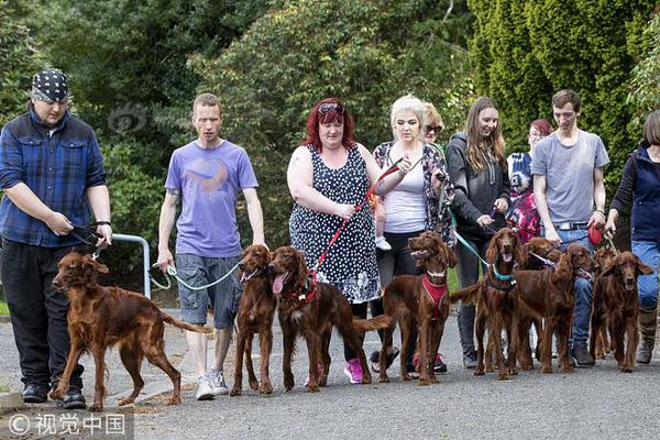 為什么全網(wǎng)站免費小說網(wǎng)都打不工_淘寶買的門質(zhì)量差，不僅門框不直門鎖也難用