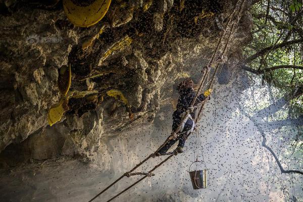 檢索困難_三折疊巔峰對決 三星能否終結(jié)華為無盡的寂寞