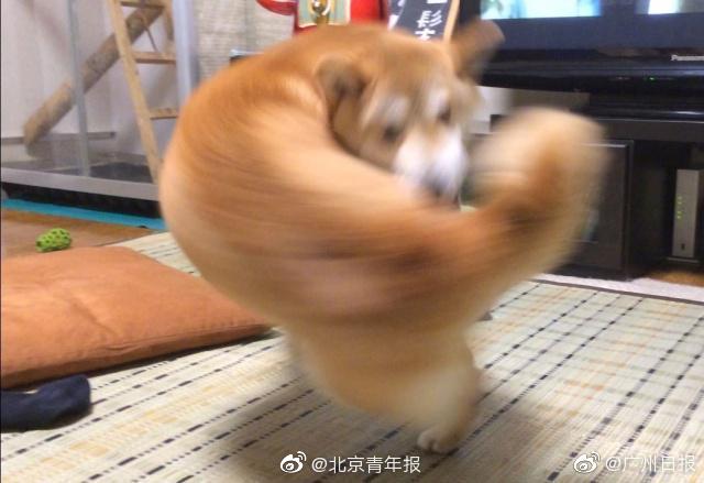 pbootcms標(biāo)簽開發(fā)助手工具_(dá)將建筑線條穿在身上——冷感時代的硬核之美