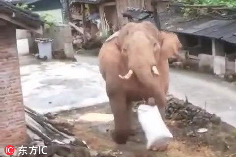 網(wǎng)站公安備案怎么弄_泰柬邊境沖突第四日：交戰(zhàn)持續(xù)，雙方超50萬邊境居民撤離