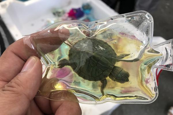 曝王鷗帶女兒逛公園，2歲女兒活潑可愛