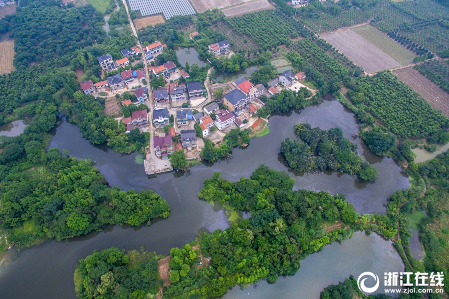 江蘇男子貴州投資養(yǎng)羊損失近百萬(wàn) 543只羊被躲貓貓