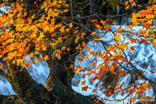 手機ai助手一句話操作_聯(lián)合華為云、阿里云 中關(guān)村科金發(fā)起“超級連接”生態(tài)計劃