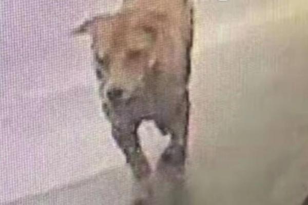 免費(fèi)公開(kāi)api接口大全_口碑最佳！今年這部海影節(jié)佳作爆了